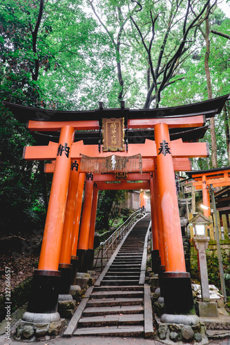 Torii gates path  forest and stairs at Fushimi Inari taisha shrine  Kyoto