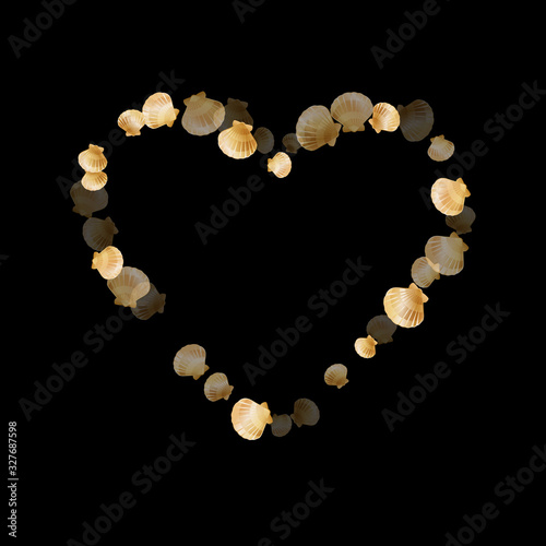Oceanic scallop bivalve pearl shells gold mollusks