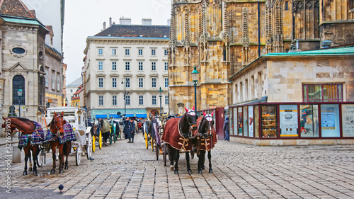 Team of horses and their coach on Stephansplatz in Vienna