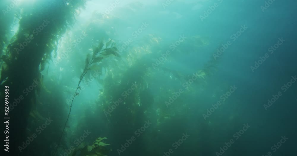 Sun ball to scuba diver on seabed light to dark pan. Sun ball to scuba diver on seabed light to dark pan.