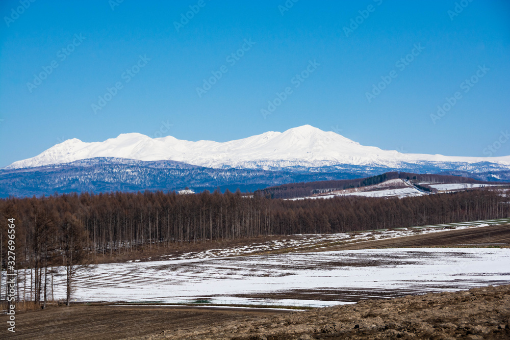雪が残る畑作地帯と雪山　大雪山
