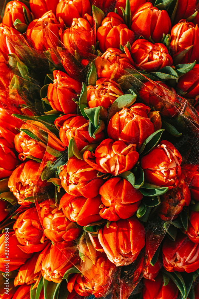 Bouquets of Fresh Orange Tulips, closeup
