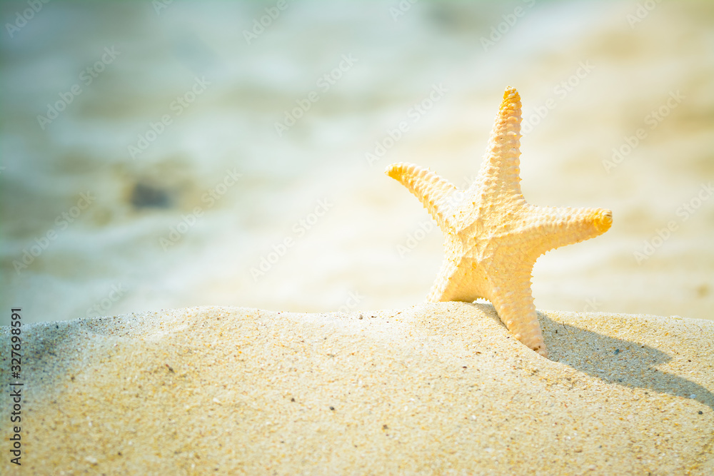 Summer beach with starfish on the background of a beautiful tropical sea at Sai Kaew Beach, Chon Buri Province, Thailand Summer beach with starfish on the background of a beautiful tropical sea at Sai Kaew Beach, Chon Buri Province, Thailand