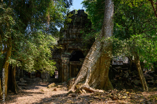 La porte sud et une arbre géant du temple Preah Khan dans le domaine des temples de Angkor, au Cambodge