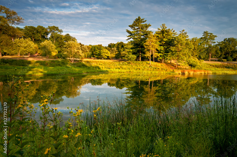 Sunset light on a secluded lake and summer wildflowers.