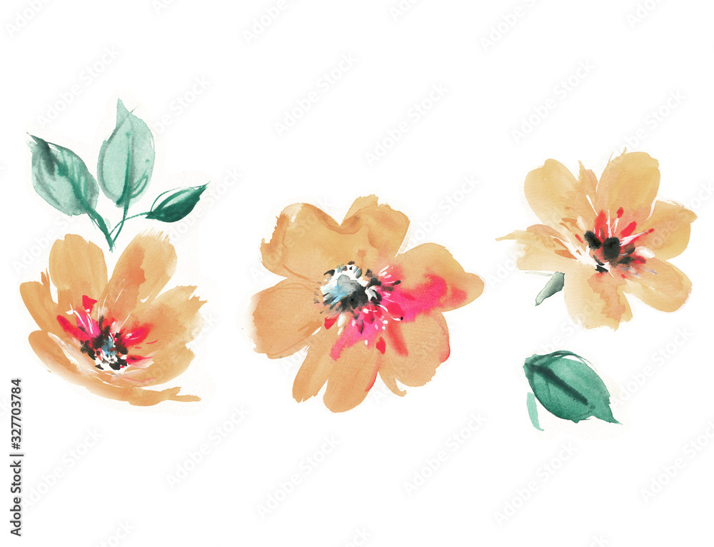 Flowers watercolor illustration.Manual composition.Big Set watercolor
