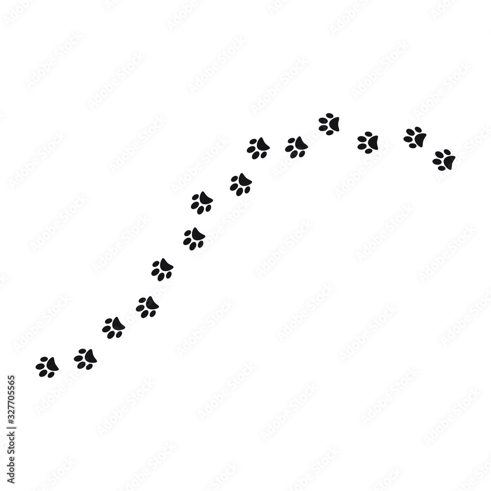 Paw print trail on white background. vector illustration Paw print trail on white background. vector illustration
