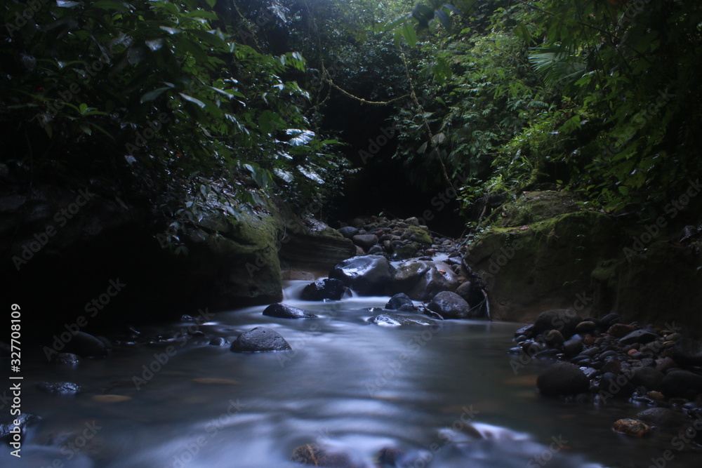 A long exposure of a tropical stream showing the green plants and rocks in the amazon rainforest A long exposure of a tropical stream showing the green plants and rocks in the amazon rainforest