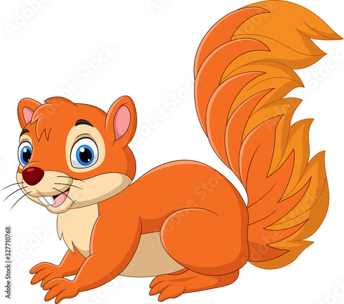 Cartoon funny squirrel isolated on white background