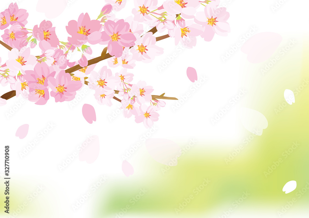 優しい桜イラスト