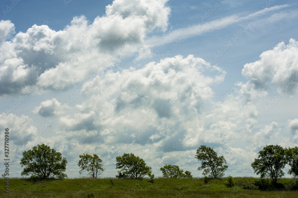 Obraz premium art photo of green trees and cloudy sky on a summer day