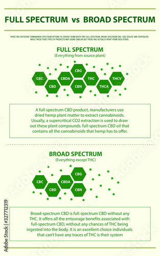 Full Spectrum vs Broad Spectrum vertical infographic illustration about cannabis as herbal alternative medicine and chemical therapy, healthcare and medical science vector.