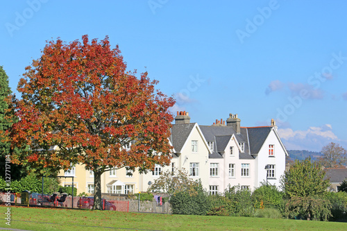 Courtenay Park, Newton Abbot in autumn photo