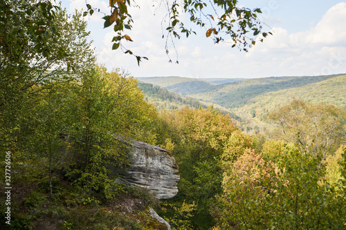 Vászonkép The Minister Creek Trail overlook in Allegheny National Park