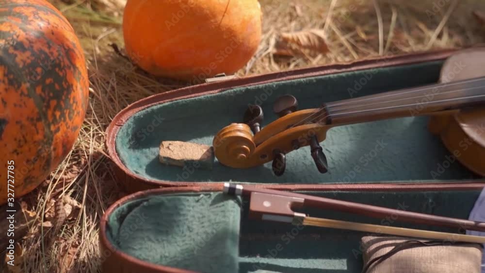 Violin shallow deep of field Violin and bow in old case. Close up view