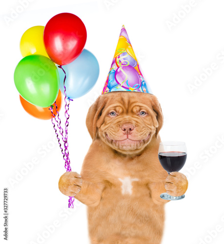 Smiling puppy wearing a birthday`s hat holds balloons and glass of red wine. isolated on white background photo