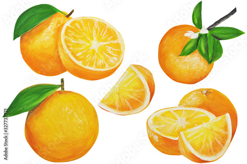  oranges set. Fruits are drawn by hand, in gouache, in the style of oil painting. isolated on a white background. can be used for textiles, stationery, corporate identity, wallpaper.