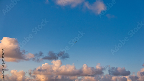 dramatic sky with clouds