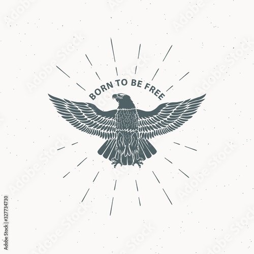 Color illustration of an eagle in the rays and text on a background with a grunge texture. Vector illustration on the theme of freedom. Eagle symbol of the USA.