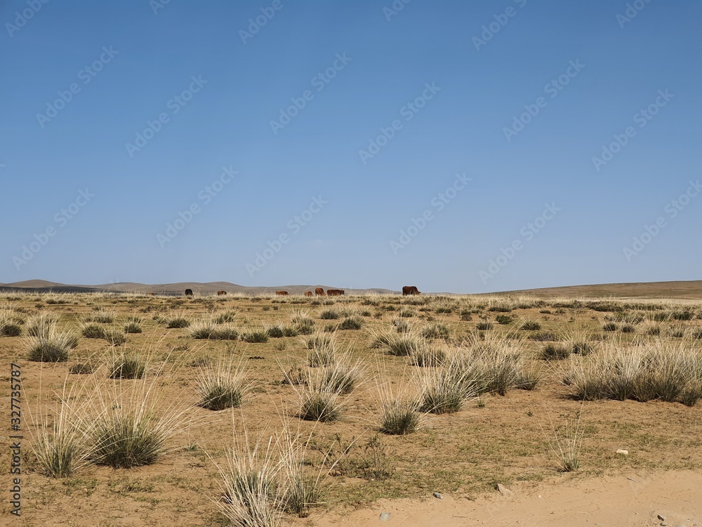 Mongolia Natural Field Sky View Mongolia Natural Field Sky View