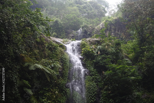 waterfall in the middle of the forest. waterfall flow. Beautiful natural waterfall