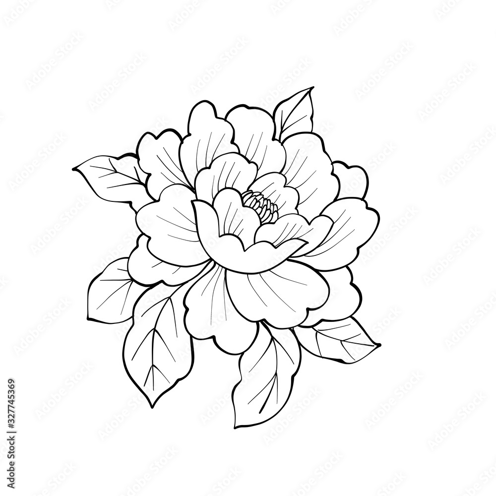 Peony flower with leafs. Coloring book page. Black and white