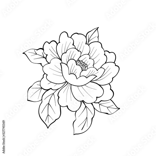 Peony flower with leafs. Coloring book page. Black and white
