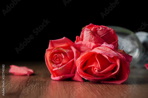 a group of pink roses put in champagne glass that falling on dark color wooden table