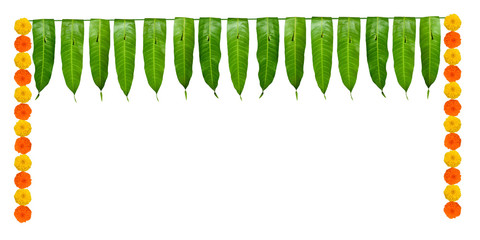 Indian flower garland of mango leaves and marigold flowers. Ugadi diwali ganesha festival poojas weddings functions holiday ornate decoration. Isolated on white background natural mango leaf garland