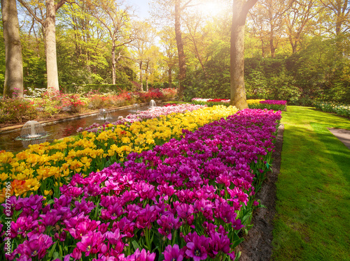 View at beautiful Keukenhof park flower lawns under blue sky during annual exhibition