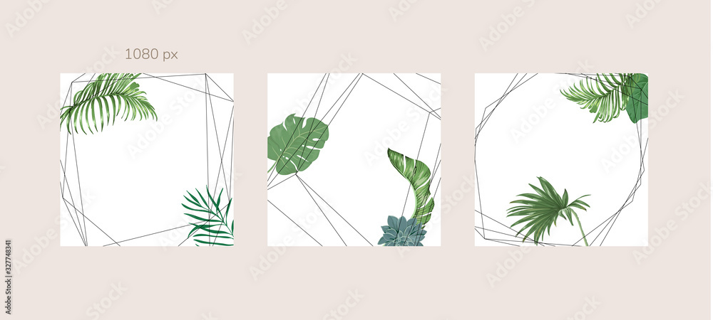 Fototapeta Green and Tropical cover design template, Social media stories and Main Feed Background with green tropical leaf geometric shapes and minimal style decoration. Vector illustration.
