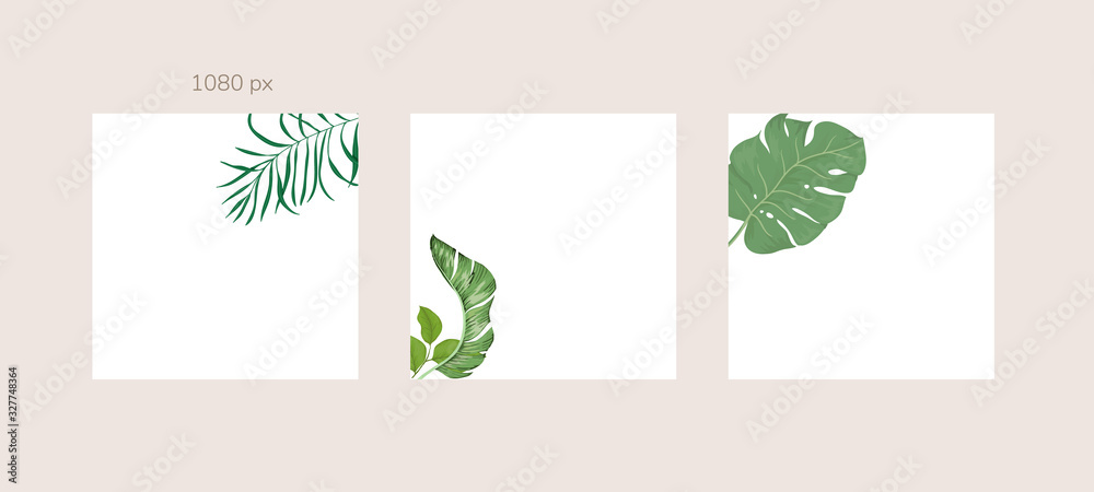 Green and Tropical cover design template, Social media stories and Main Feed Background  with green tropical leaf geometric shapes and minimal style decoration. Vector illustration.