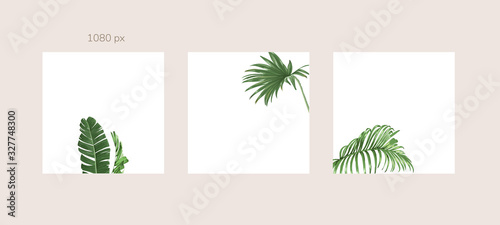 Green and Tropical cover design template, Social media stories and Main Feed Background  with green tropical leaf geometric shapes and minimal style decoration. Vector illustration.
