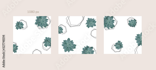 Green and Tropical cover design template, Social media stories and Main Feed Background  with green tropical leaf geometric shapes and minimal style decoration. Vector illustration.