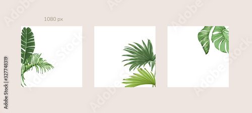 Green and Tropical cover design template, Social media stories and Main Feed Background  with green tropical leaf geometric shapes and minimal style decoration. Vector illustration.