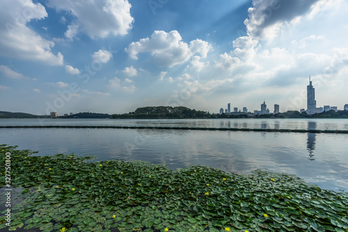 nanjing skyline and lotus , modern city with lake