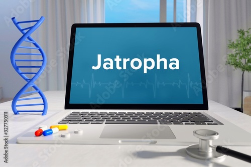 Jatropha – Medicine/health. Computer in the office with term on the screen. Science/healthcare photo