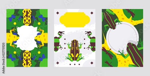 Frog animal vector illustration with blank space for text, banner or greeting card template set with copy space. Background design with green, yellow, blue amphibian on waterlily, dragonfly and moth.
