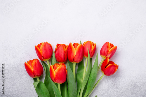 Beautiful red tulips on a light stone background. Spring background. Top view. Copy space