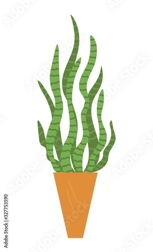Houseplant, floral element with leaves in vase isolated. Vector green house plant in pot, home decorative element, cartoon herb or grass in flowerpot
