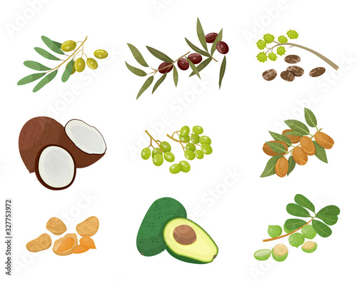 Hair oils, plants and nuts, oily seeds, icons vector. Skin care and hairs health, organic cosmetics, castor and macadamia. Olive and coconut, avocado and grapeseed, almond and amla illustration