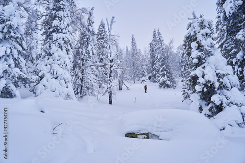 Winter forest with snow-covered fir trees high in the mountains. Sunny February day in the spruce forest. The trees are covered with snow to the top of their heads. © nikolay_alekhin