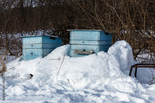 two blue bee hives covered in snow in a winter forest