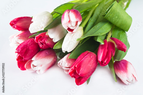 Beautiful greeting card. Bunch of purple and white tulips with waterdrops on white background. Close up
