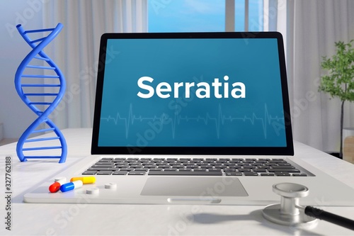 Serratia – Medicine/health. Computer in the office with term on the screen. Science/healthcare photo