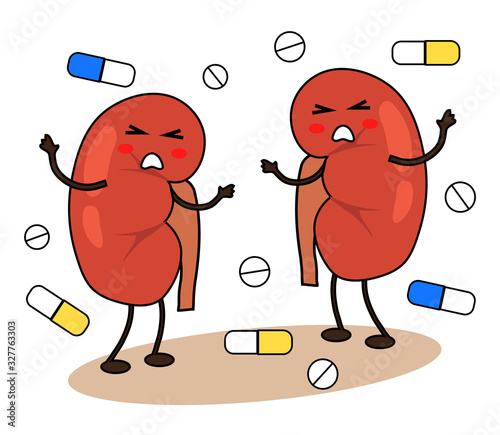 Human kidneys and medicines on a white background. Vector illustration.
