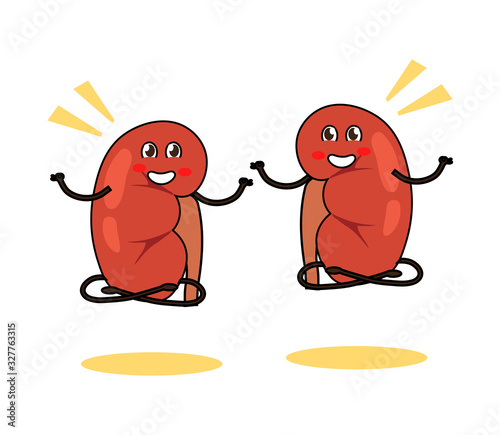 Human kidneys meditate on a white background. Cartoon. Vector illustration.