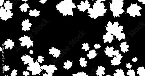 Falling Autumn leaves on black background for Thanksgiving Halloween party. 3D rendering