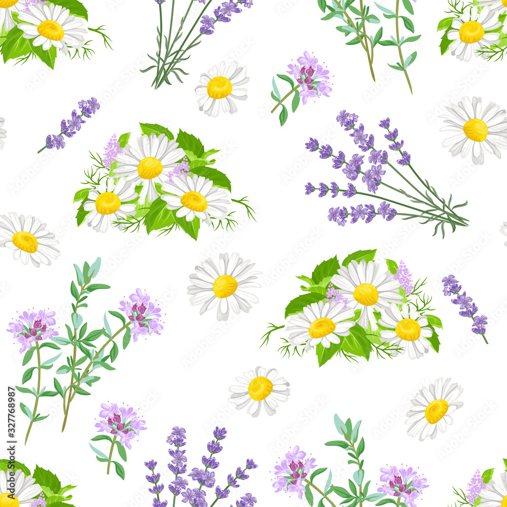 Wild flowers pattern. Chamomile, lavender and thyme isolated on white background. Vector illustration of meadow herb in cartoon flat style. Summer flowering.