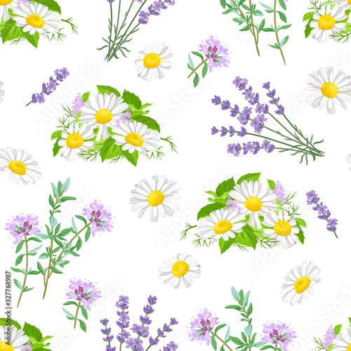 Wild flowers pattern. Chamomile  lavender and thyme isolated on white background. Vector illustration of meadow herb in cartoon flat style. Summer flowering.